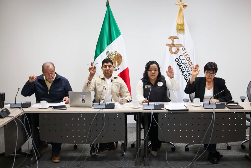 https://congreso-gto.s3.amazonaws.com/uploads/imagen/imagen/115905/pop_WhatsApp Image 2026-09-08 at 11.22.39.jpeg